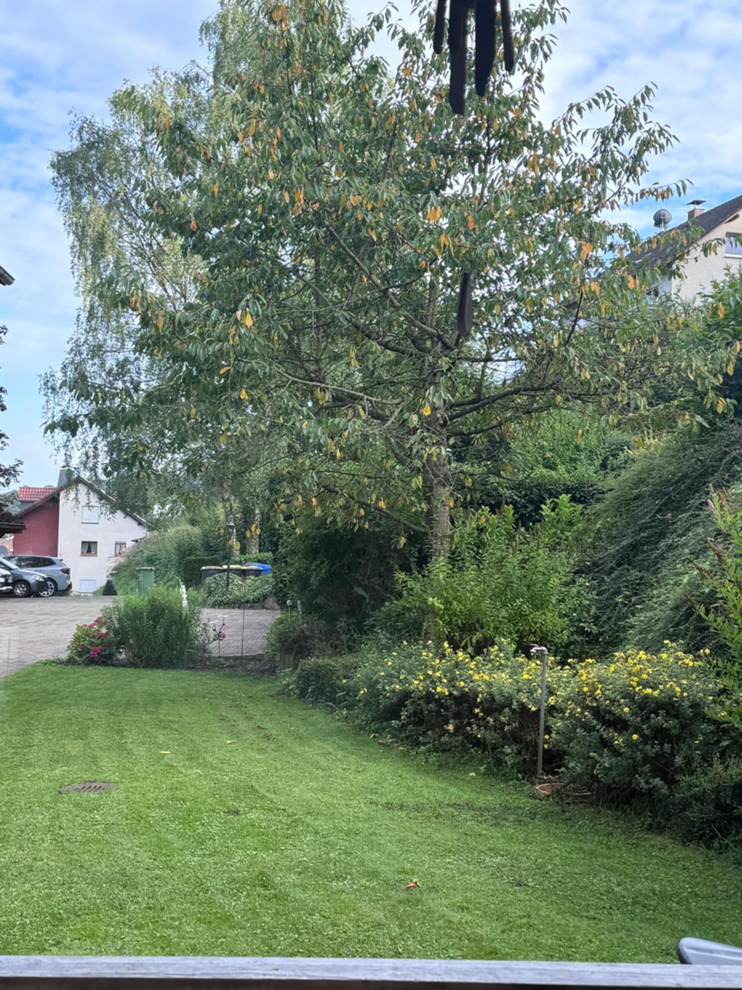Apartment Zum Aatal Bad Wunnenberg Bagian luar foto